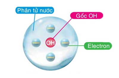Cấu trúc hạt NanoE