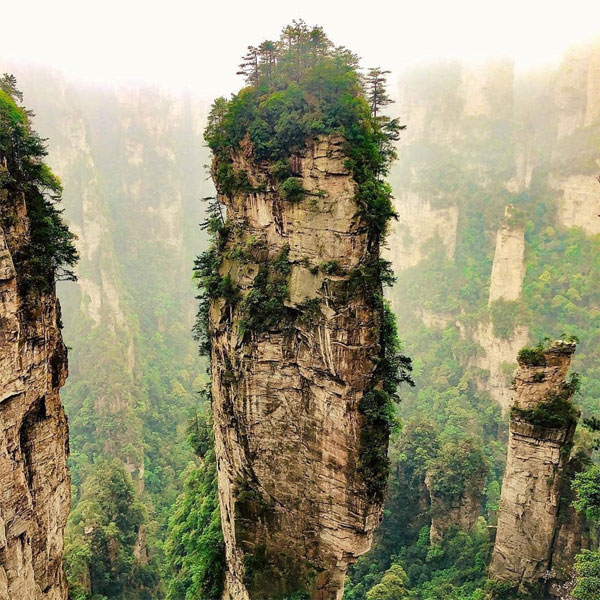 Khung cảnh hùng vĩ của những trụ sa thạch vươn lên từ tầng rừng của công viên Trương Gia Giới 4