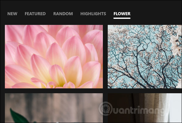 Hiện hình ảnh theo chủ đề