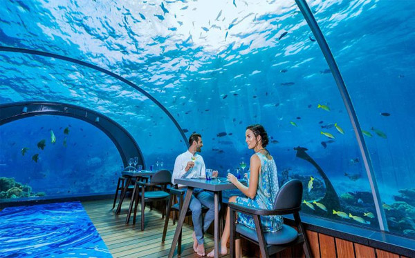 Thưởng thức những ly cocktail tại nhà hàng, quán bar dưới đáy biển