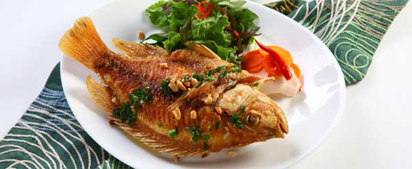 Cá diêu hồng chiên