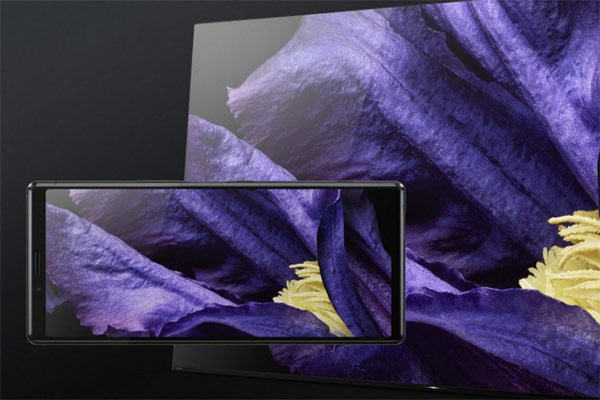 Máy được trang bị màn hình OLED 4K