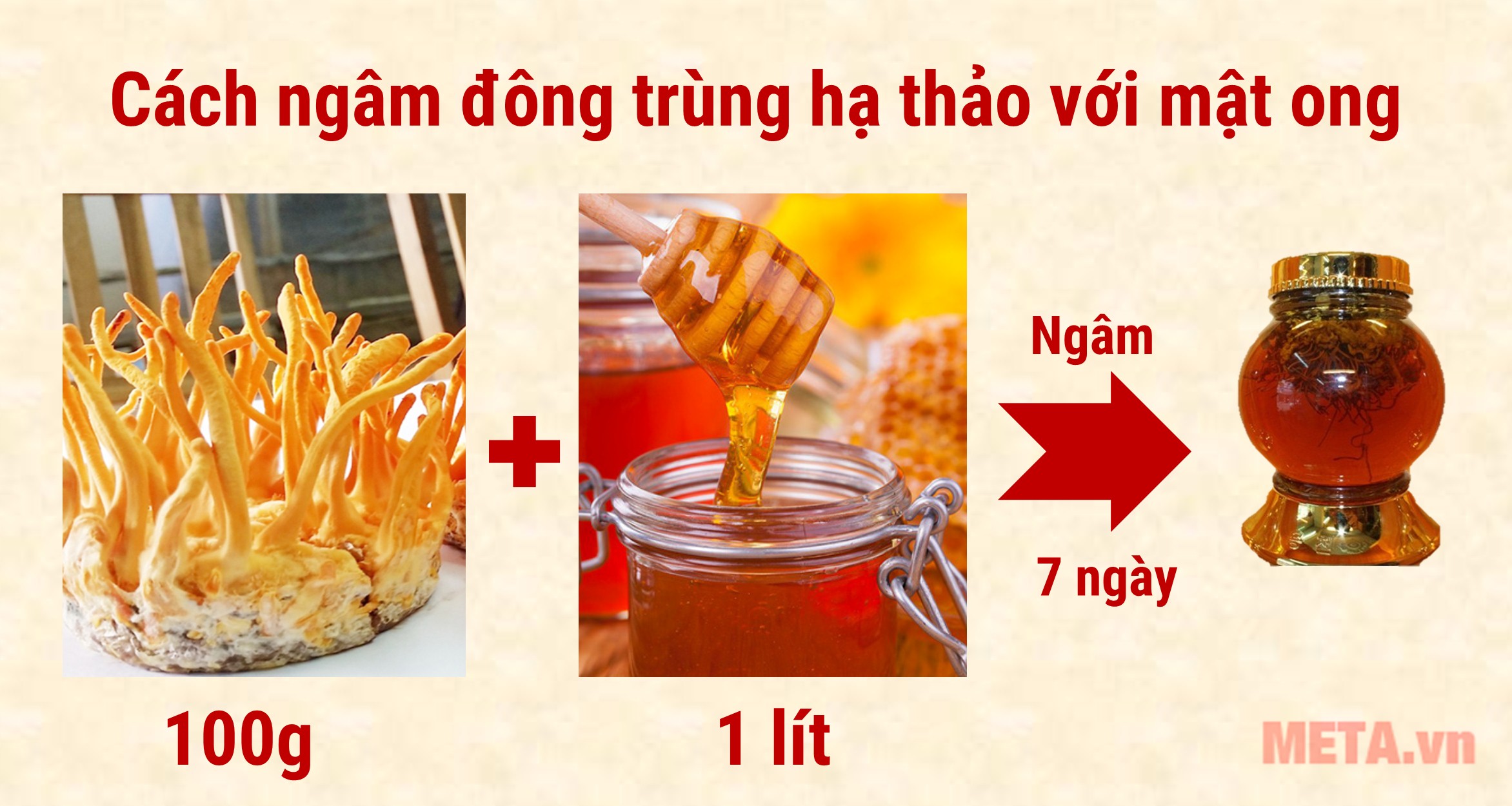 Tác dụng của đông trùng hạ thảo ngâm mật ong? Cách ngâm như thế nào?