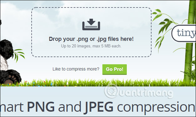 Giao diện trang web