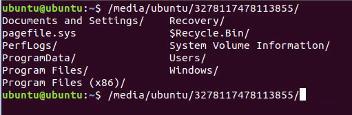 Loại bỏ virus khỏi PC Windows bằng Ubuntu Live USB - Ảnh minh hoạ 7