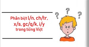 Quy tắc viết l/n, ch/tr, x/s, c/q/k, i/y đúng chính tả trong tiếng Việt