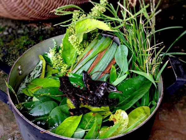 tác dụng của xông mũi họng