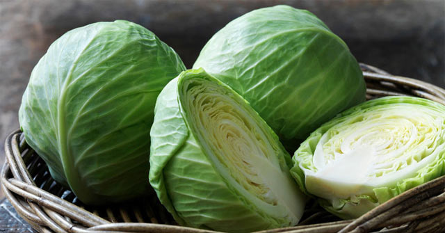 Bắp cải là loại rau rất quen thuộc với các gia đình