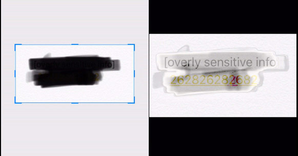 Chỉ với vài thủ thuật chỉnh sửa ảnh, những thông tin đã bị che sẽ hiện ra.