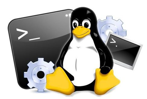 Quản trị viên hệ thống Linux làm nhiệm vụ gì?