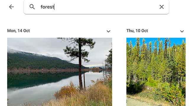 Thực hiện tìm kiếm nâng cao trên Google Photos theo đối tượng hoặc vật