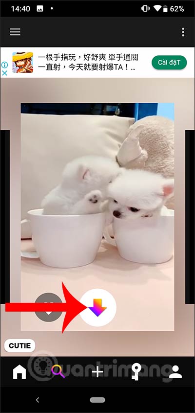 Tải hình nền động