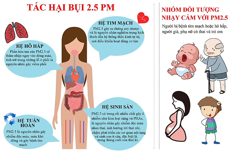Tác hại của bụi mịn