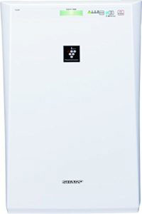 Máy lọc không khí Sharp FU-Z31E-W Portable Room