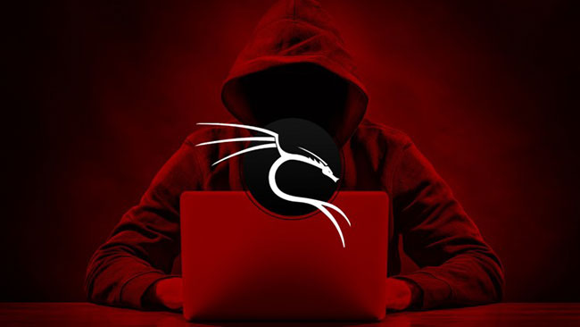 BackTrack là gì?