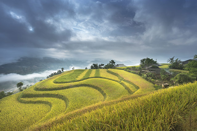 Hinh Nen Ruong Bac Thang 11