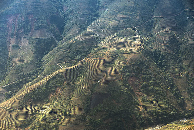 Hinh Nen Ruong Bac Thang 17