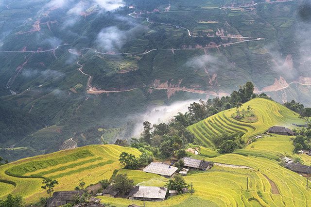 Hinh Nen Ruong Bac Thang 2