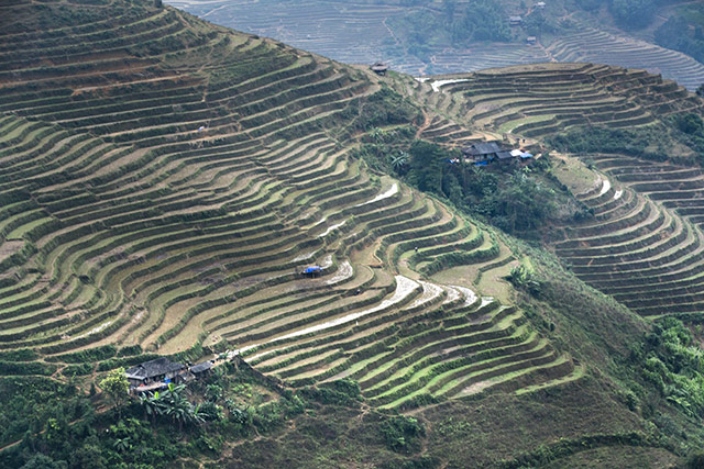 hinh nen ruong bac thang