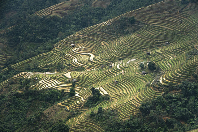 hình ruộng bậc thang đẹp