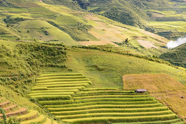 hình nền ruộng bậc thang đẹp nhất