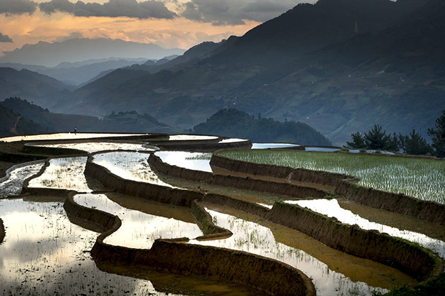 Hinh Nen Ruong Bac Thang 24
