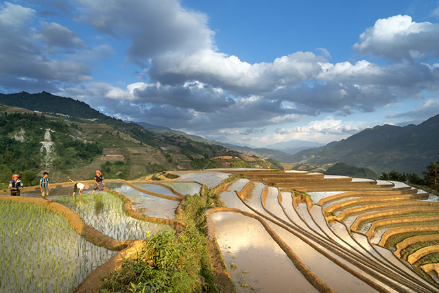 Hinh Nen Ruong Bac Thang 25