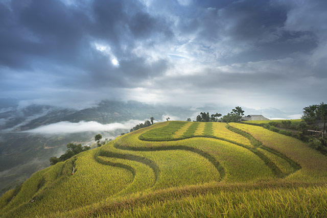 Hinh Nen Ruong Bac Thang 3