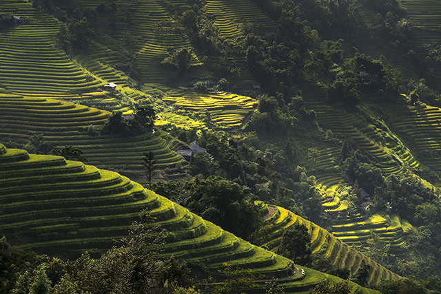 Hinh Nen Ruong Bac Thang 5
