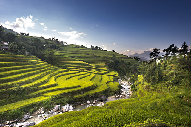 Hinh Nen Ruong Bac Thang 6