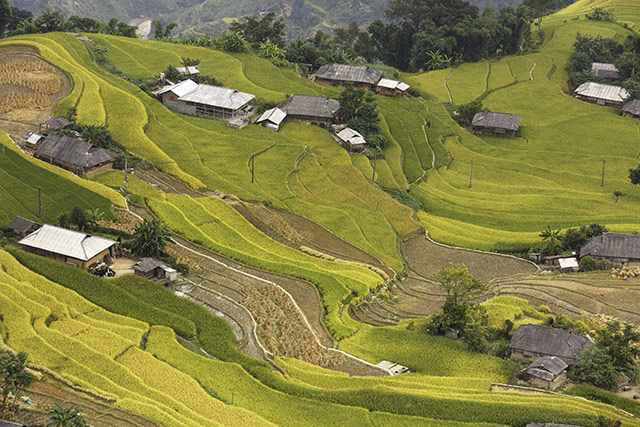Hinh Nen Ruong Bac Thang 8