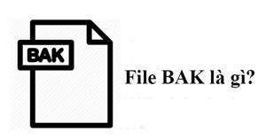 File BAK là gì? Cách mở và chuyển đổi file BAK