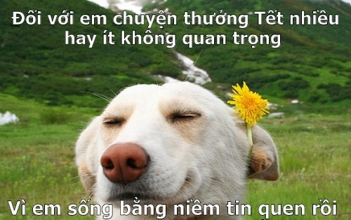 Bao nhiêu năm nay em sống bằng niềm tin nên đã quen rồi