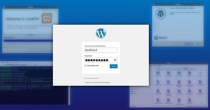 Cách thiết lập WordPress cho phát triển cục bộ trong Linux