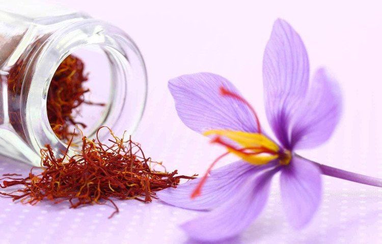 Nhụy hoa nghệ tây