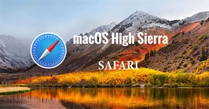 Cách luôn cho phép download trên Safari macOS