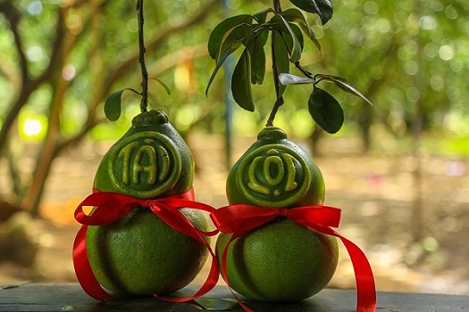 Xu hướng quà Tết