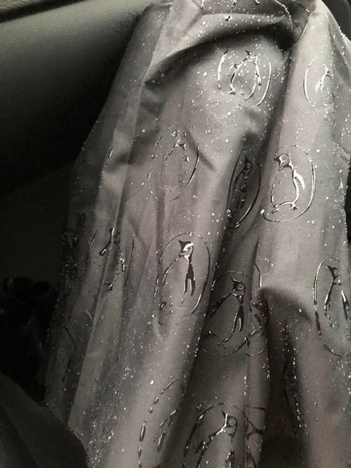 Các chú chim cánh cụt hiện lên trên chiếc ô sau khi nó bị ướt