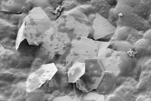 Các bụi vàng kích thước nano được nhúng trong hỗn hợp nhựa polymer.
