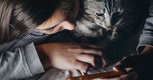 10 game cho mèo cưng trên máy tính bảng iPad hoặc Android