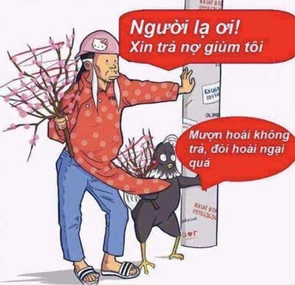 Tuyển chọn ảnh tết vui với nhiều mẫu hài hước