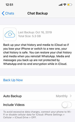 Choose 1 of the backup options