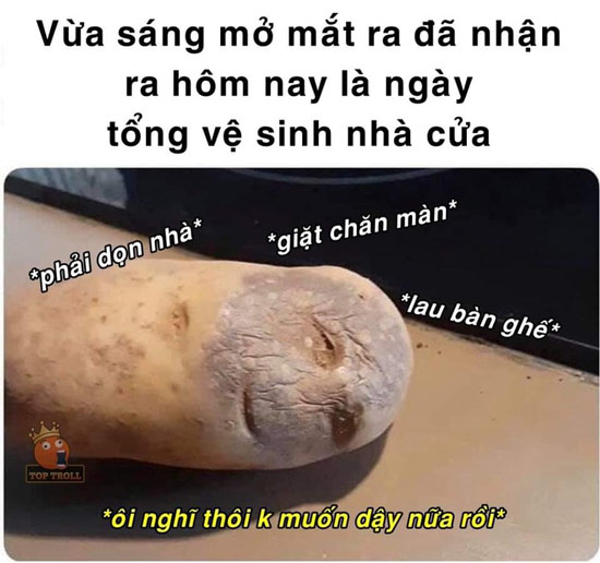 Tết được nhiều người gọi vui là ngày "toàn daMới ngày đầu tiên của kỳ nghỉ lễ tết, việc dọn dẹp nhà cửa đã khiến nhiều người sợ hãiân dọn nhà"