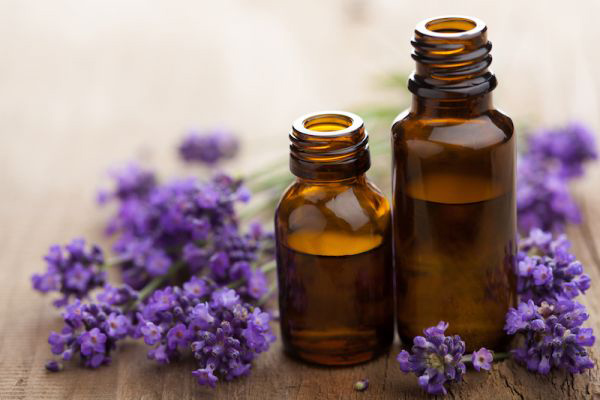 minyak atsiri lavender