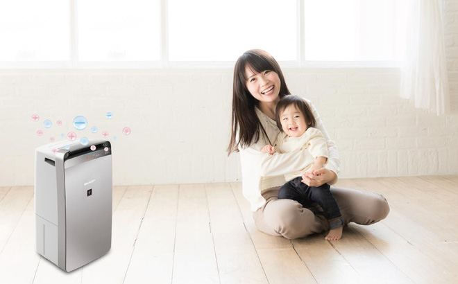 Có nên sử dụng máy lọc không khí hút ẩm không