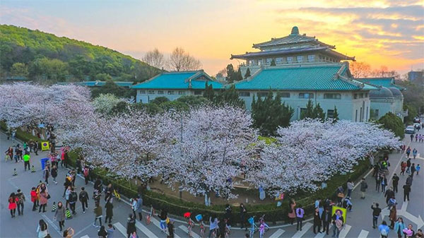 Đại học Vũ Hán