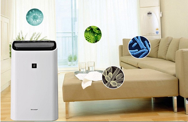 Cách chọn máy hút ẩm cho gia đình trong mùa nồm