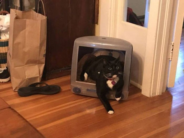 Một ý tưởng tái chế tuyệt vời