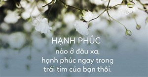 7 câu chuyện thâm thúy về hạnh phúc, ý nghĩa cuộc sống: Chân lý đơn giản nhưng hầu hết mọi người không nhận ra