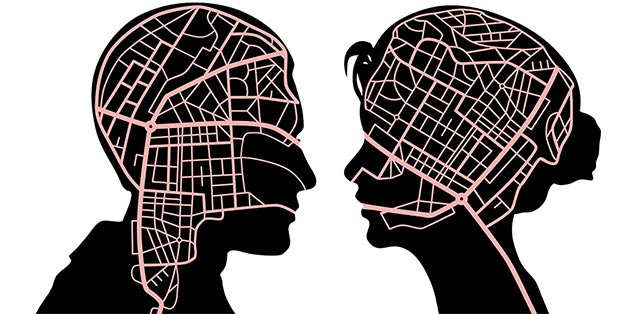 Biểu hiện giới tính trong não bộ con người